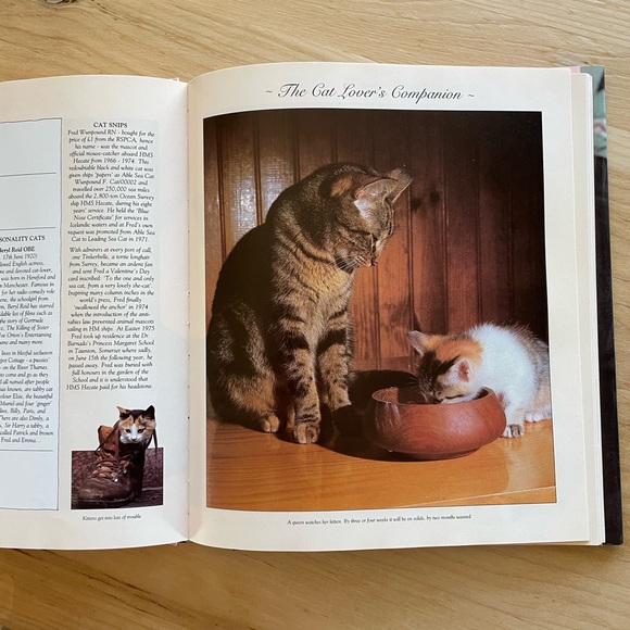 Vintage The Cat Lover’s Companion hardcover book - Picture 7 of 7